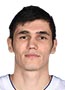 Ersan Ilyasova to NBDL development league